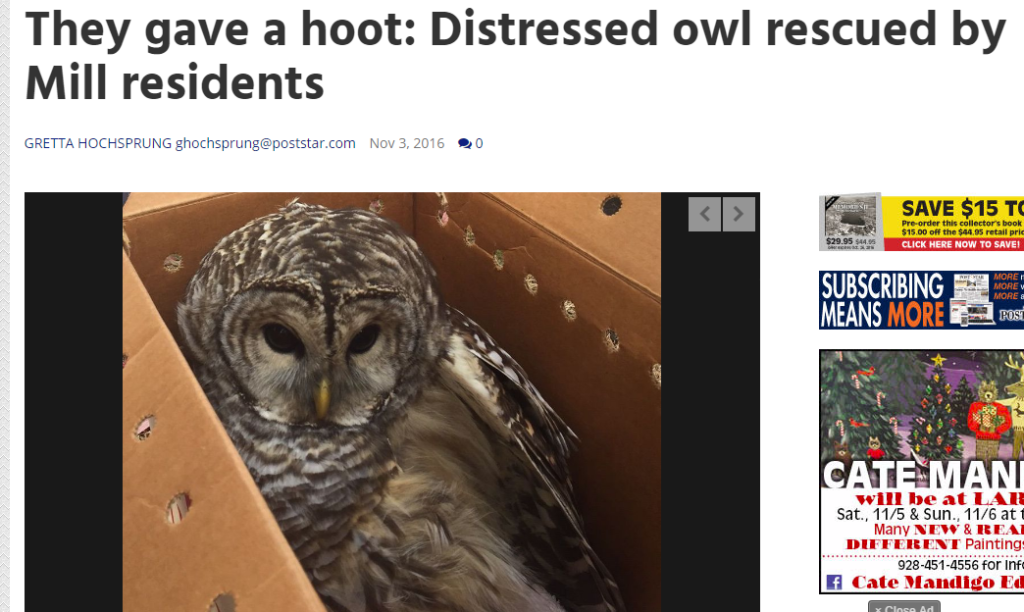 Mill Residents Rescue Distressed Owl